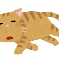 [お題]from:猿からメールきたよさん