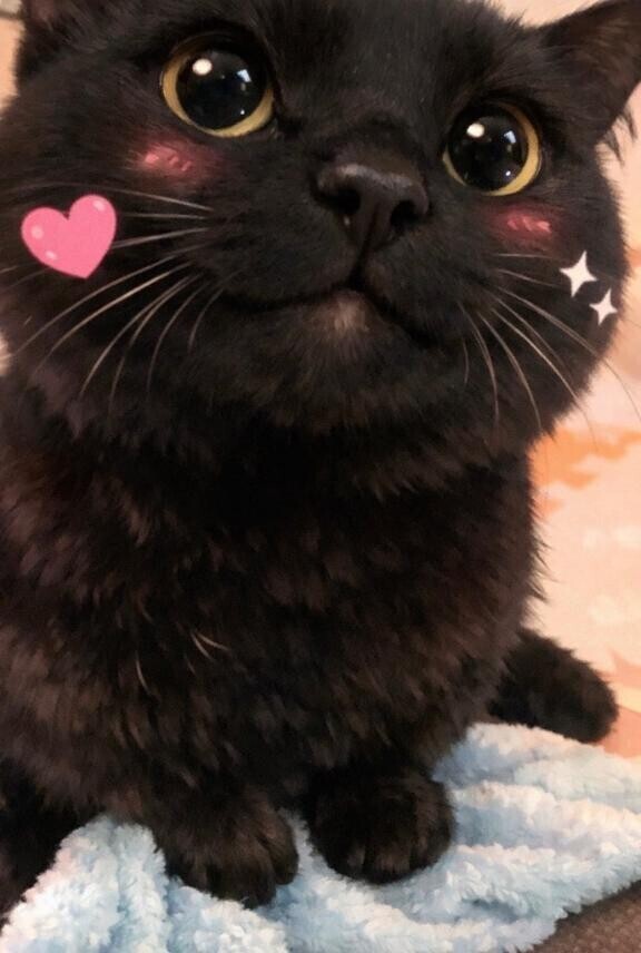 姫予約始めました?
