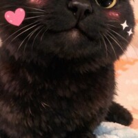 姫予約始めました?