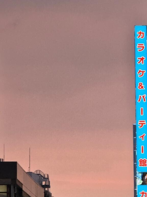 次回出勤は8/8土曜日(∩´∀`∩)?