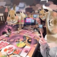 パワーパフガールズうう