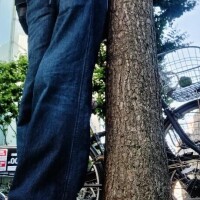 そびえるスカイツリーに、いわし雲
