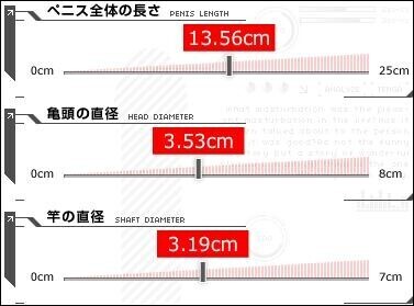日本の平均サイズはこちらになります?ものさしで