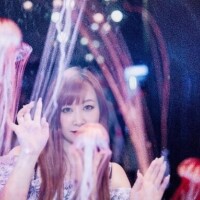 写メ日記ネキ怒涛の更新