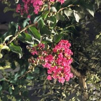 [お題]from:昆布豆太郎さん