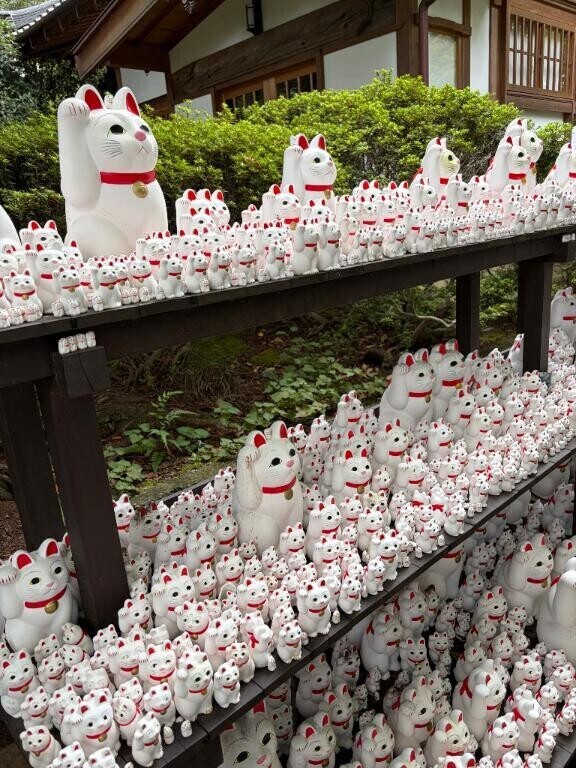 パンパン(//∇//)