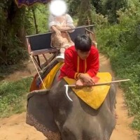 ? 王族気分は一瞬?