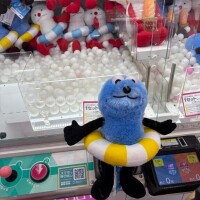 わたしの推し????
