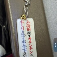 こんなキーホルダーもあるのね( ?ω? )欲しい?