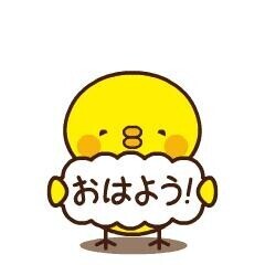 おはようございます??