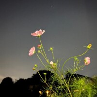 めちゃくちゃ好き