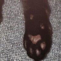 姫予約※新たに追加