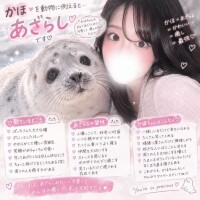 かほはあざらし????