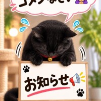 お知らせ????