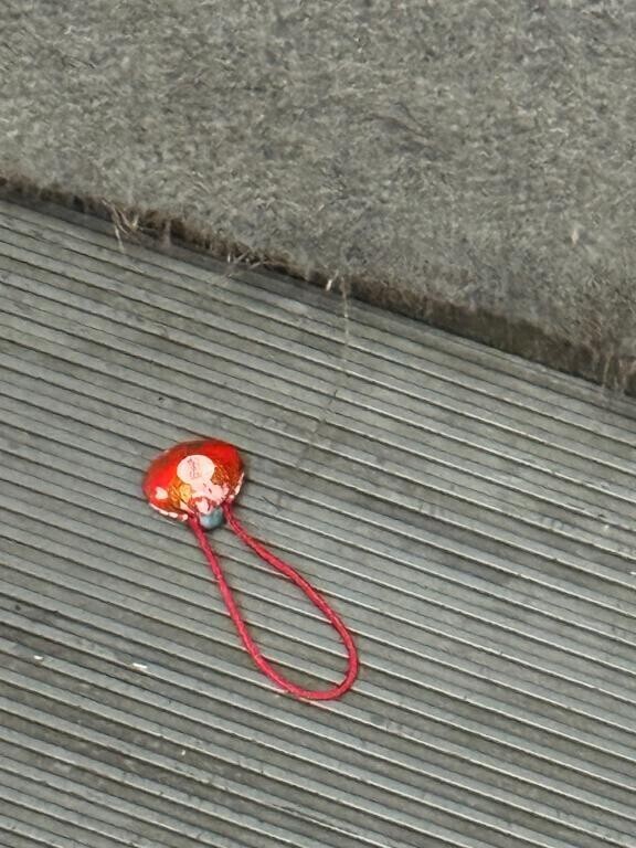 縁起が良いのか?悪いのか??