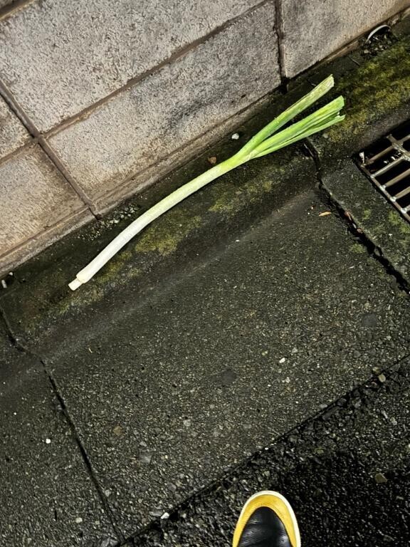 丸ごと??