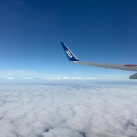 人の気持ちって不思議?