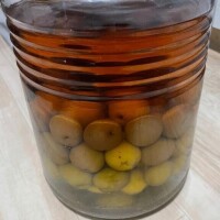 多趣味が趣味