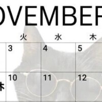 卒業＆11月の出勤