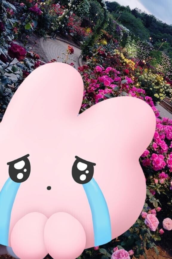 本当に本当にごめんなさい?
