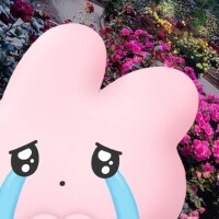 ゆき