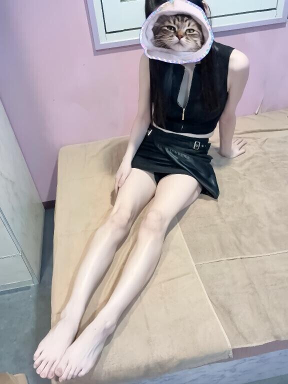 美脚の猫ちゃん...?