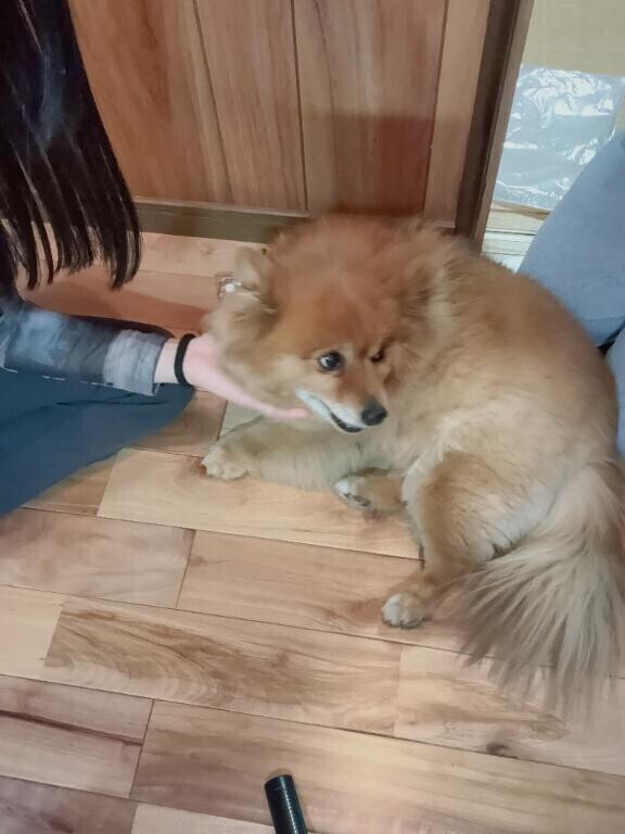 おねむねむ???