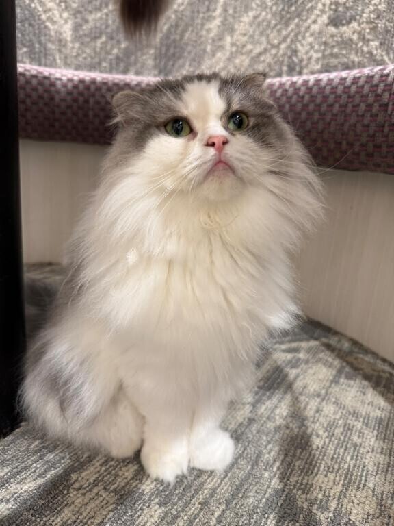 しあわせな朝???