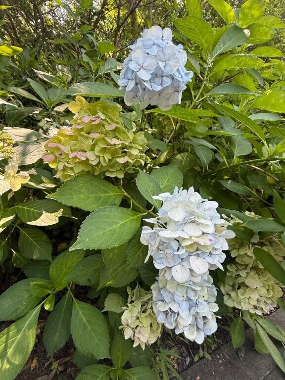 自分を大切に...＼_( ﾟﾛﾟ)ここ重要！