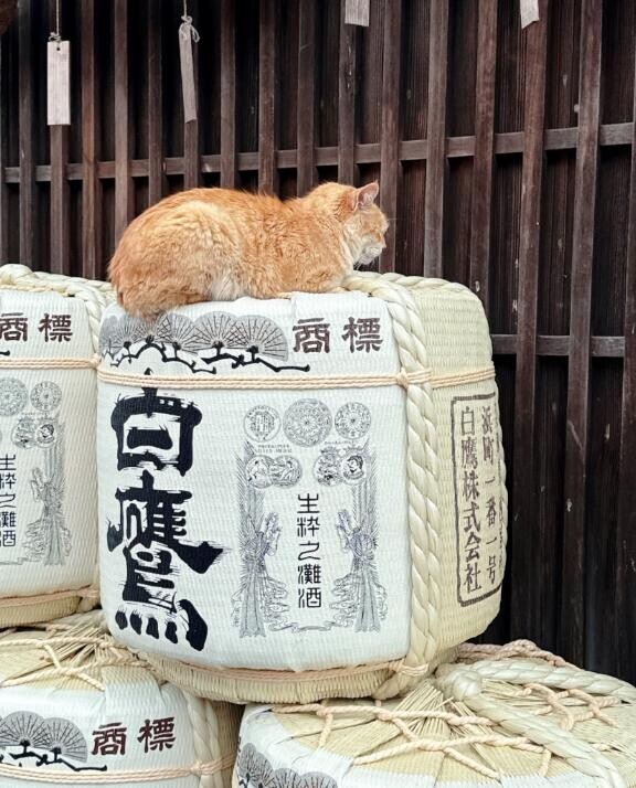 [お題]from:それを許さない社会さん