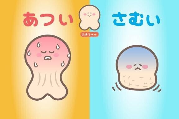 【たまちゃんの特徴】たまちゃんについて～