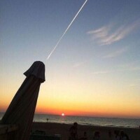 さて、これが何に見えますかな?