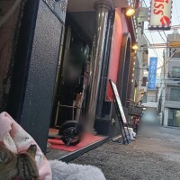 猫と透視能力