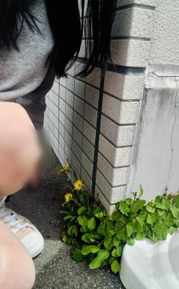 強いな～?