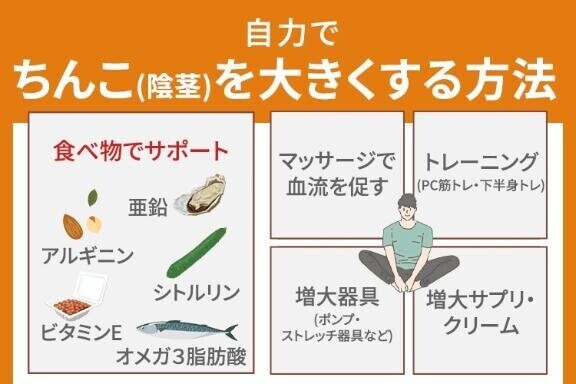 ち〇こを大きくする方法はこちら?