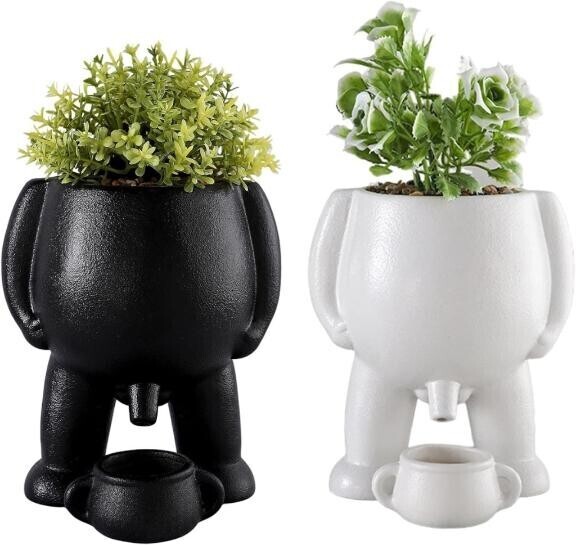 放〇の植木鉢？( ?ω? )これ飾るとするか