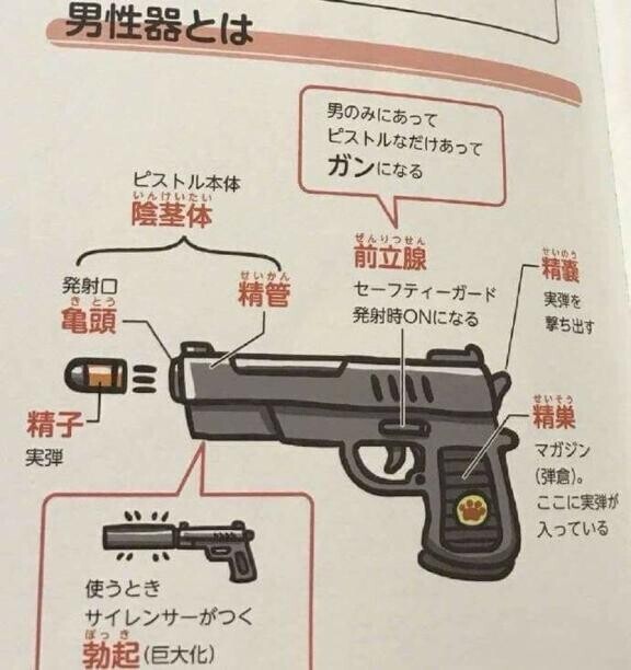 男性器をまさかのもので例えると…分かりやすい。