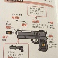 男性器をまさかのもので例えると…分かりやすい。