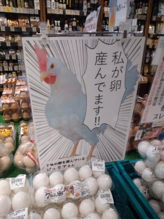 【私が卵産んでます??】との事。?コケ
