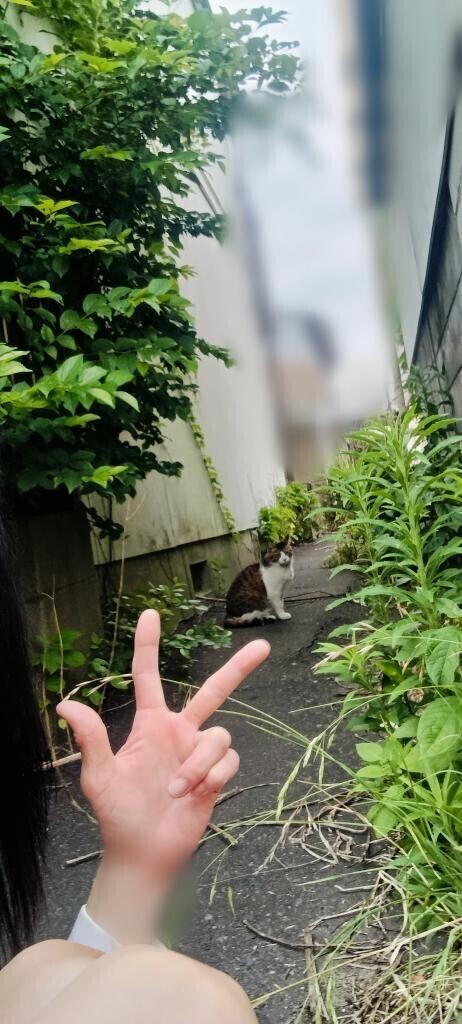 ジャスト　モーメント　プリーズ