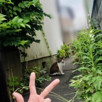 ジャスト　モーメント　プリーズ