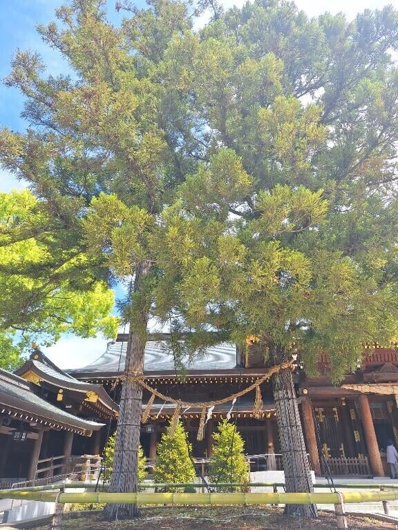 神社?