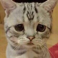 ちか