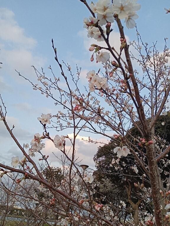 なかなか?