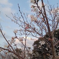 ちか