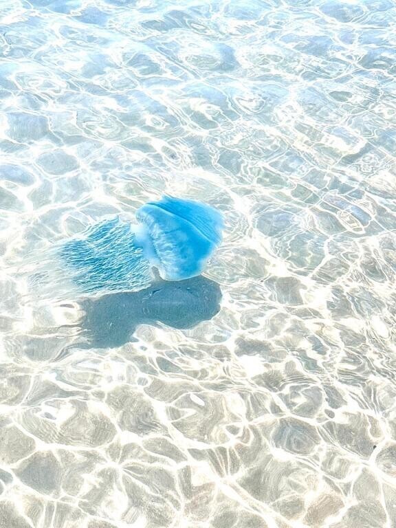 待ってます?