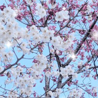 わかば☆おっとり癒し系新妻