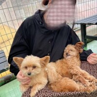 さら☆究極の癒し系若妻