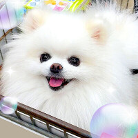 あゆみ