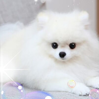 あゆみ